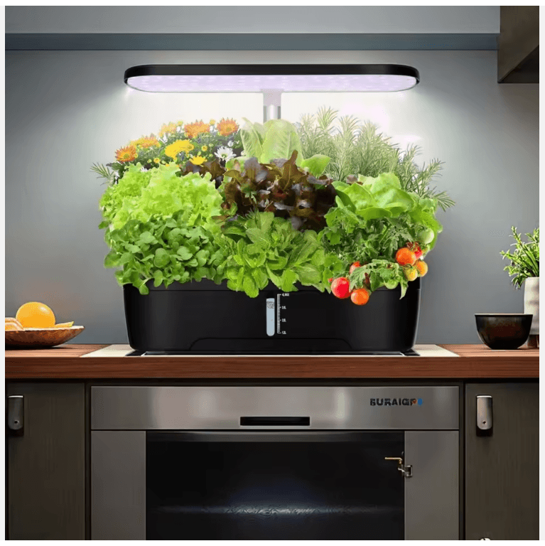 Tabletop Garden with Herbs