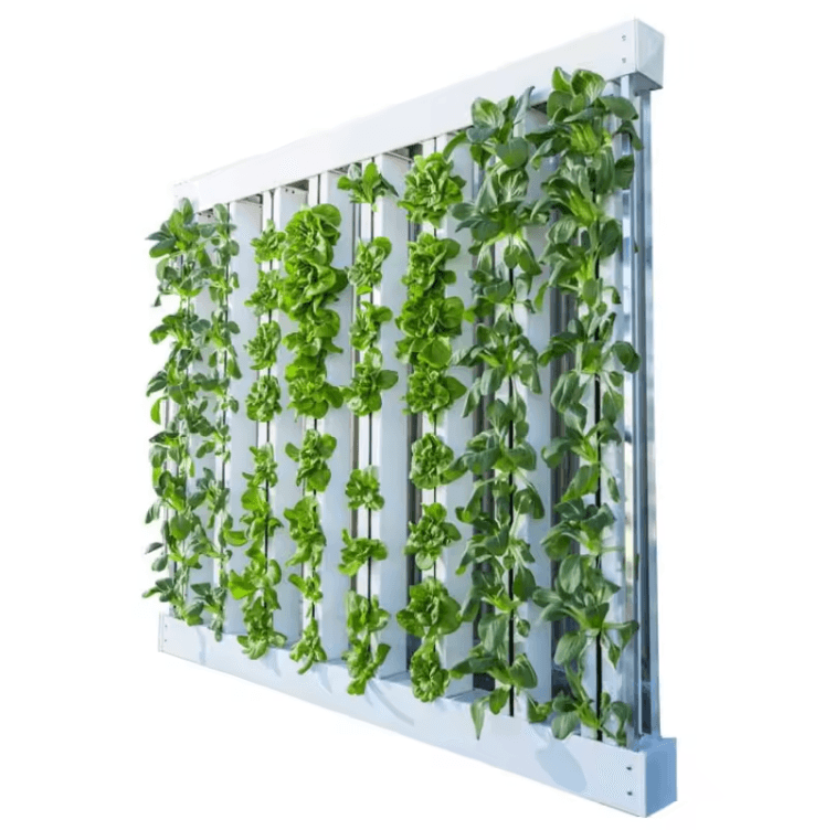 Vertical Hydroponic Wall