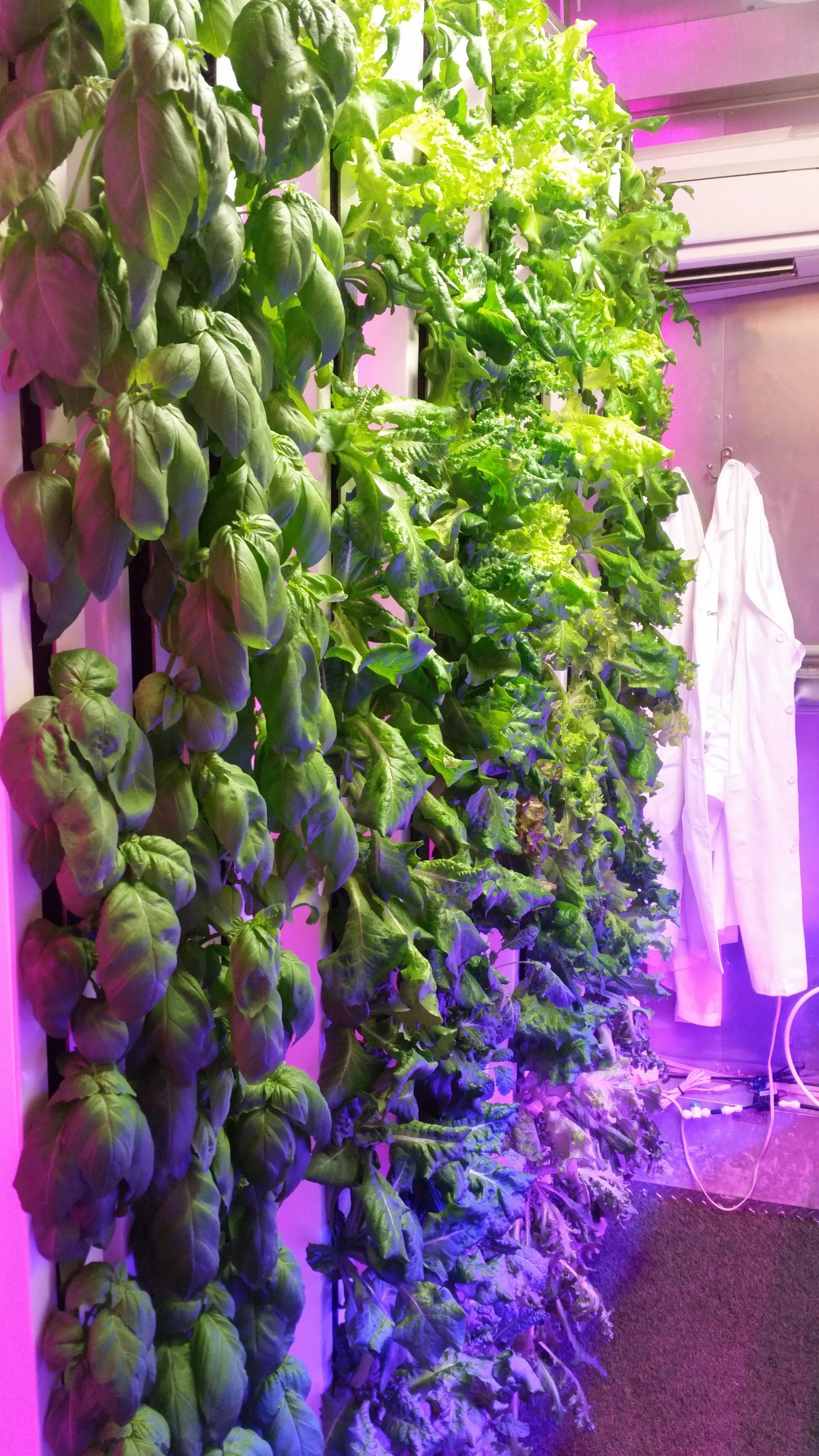 Commercial Scale Reality